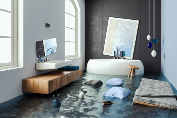 Best Mold removal after water damage  in Sauk Centre, MN