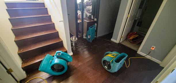 Best Emergency water damage restoration  in Sauk Centre, MN