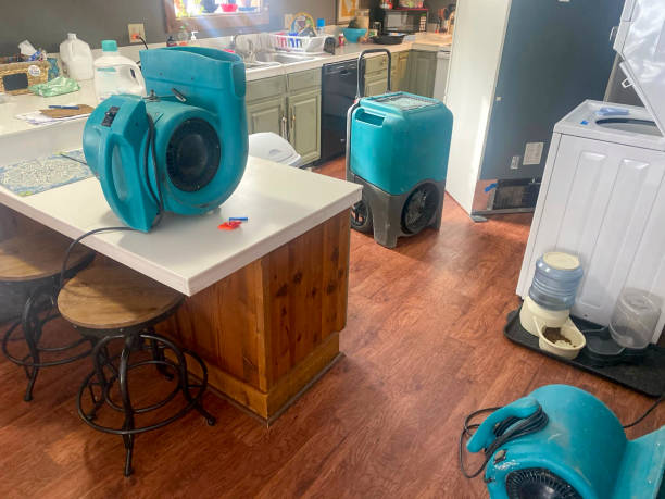 Best Water damage restoration process  in Sauk Centre, MN