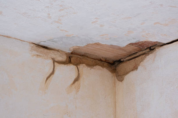Best 24-hour water damage restoration  in Sauk Centre, MN