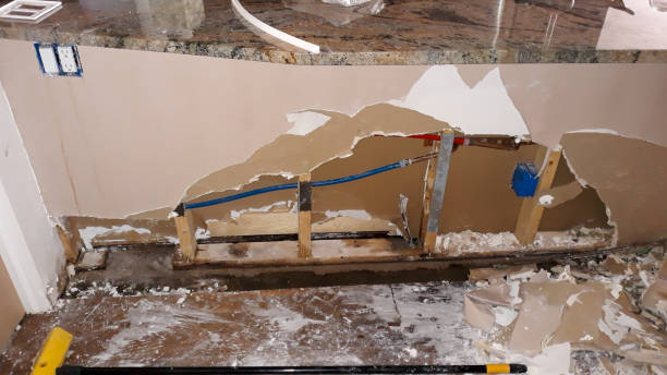Best Flooded house restoration  in Sauk Centre, MN
