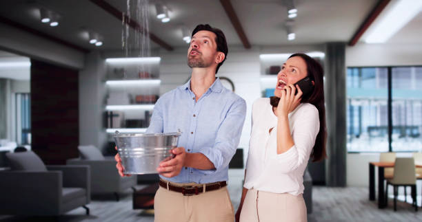 Best Fire Damage Restoration  in Sauk Centre, MN